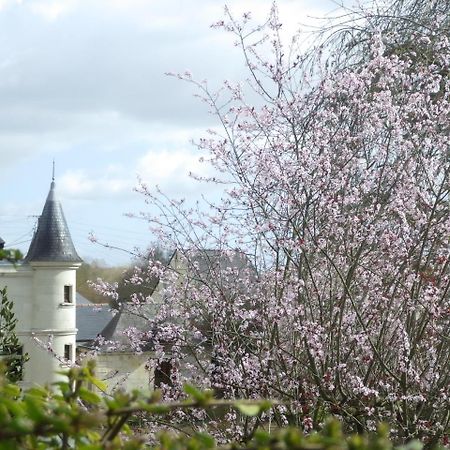 Le Manoir De La Baldette Bed & Breakfast Gennes-Val-de-Loire Eksteriør bilde