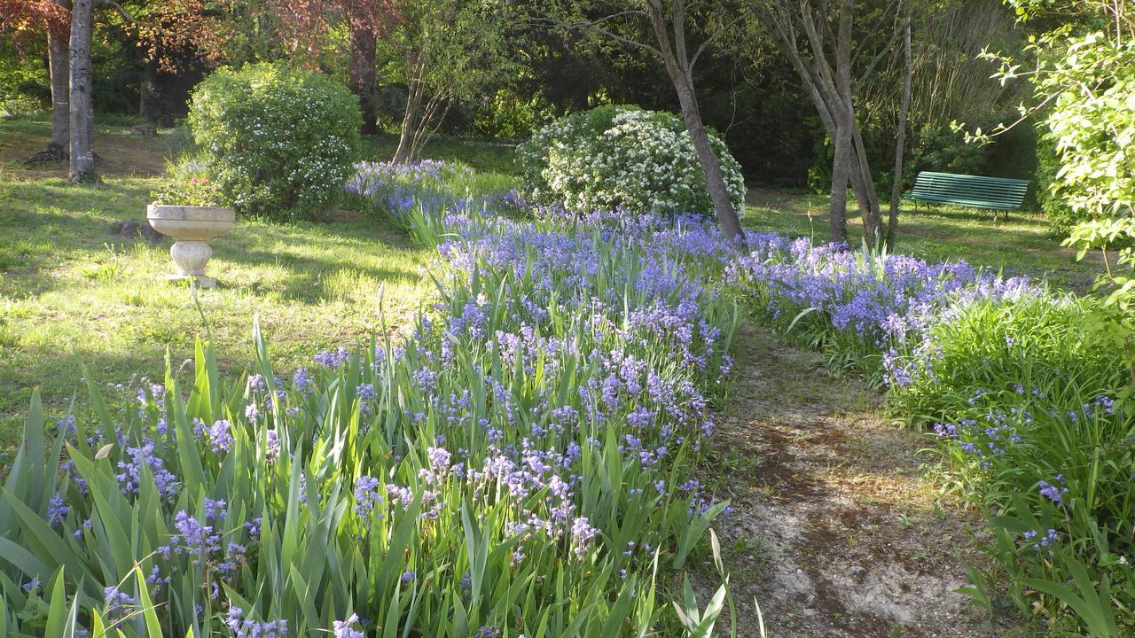 Le Manoir De La Baldette Bed & Breakfast Gennes-Val-de-Loire Eksteriør bilde