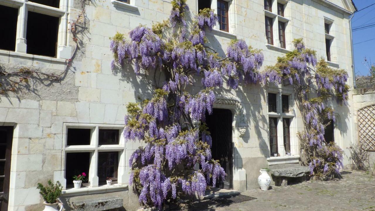 Le Manoir De La Baldette Bed & Breakfast Gennes-Val-de-Loire Eksteriør bilde